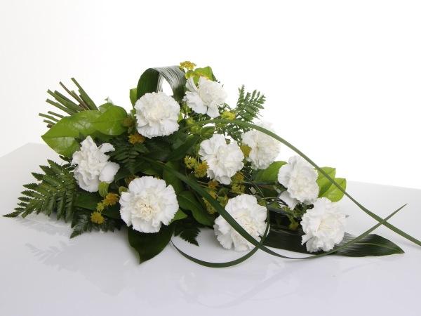 surukimppu valkoinen neilikka